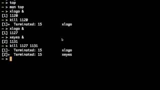 Basic UNIX Commands - Process Commands