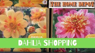 Shopping for Dahlias and Update on Stored Tubers