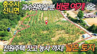 물건 1053 충주시 신니면…과수원하실분 바로 여기! 전원주택 짓고 농사까지! 넓은 토지…충주 부동산 TV 충주 전원 주택 매매 충주 부동산 충주 주택 매매