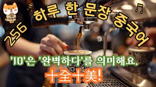 [#256 하루 한 문장 중국어]  \