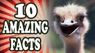 10 Amazing Facts #1