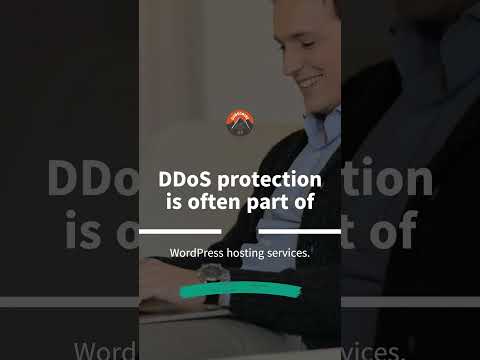 WordPress hosting with DDoS protection