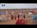 Worst Drought In Decades Devastates Ethiopia's Community