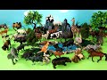 Safari Diorama and Herbivorous Animal Figurines   Learn Animal Names