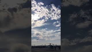 69 Paramotors at ASFC Wuhan air show