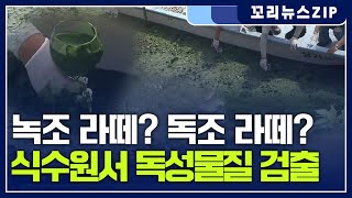 꼬리뉴스zip | 낙동강 최악의 녹조..식수원에 독성물질 논란 | 뉴스모음집