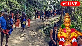 23.12.2024 🔴 Live சரம் மாறியாக வீடு திரும்பும் ஐயப்ப பக்தர்கள் | Sabarimala to Pamba Route