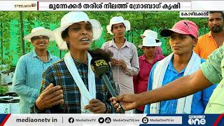 മൂന്നേക്കര്‍ തരിശു നിലത്ത് പതിനായിരം ഗ്രോബാഗുകളില്‍ കൃഷി, ഒരു ടണ്‍ പച്ചക്കറി; ശ്രദ്ധ നേടി ഏദന്‍ ഫാം