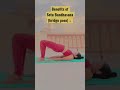 benefits of setu bandhasana bridge pose yoga yogashorts fitness viral share trending