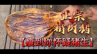 正宗精肉猪，瘦到你怀疑猪的一生，色泽油润和香味缺一不可 #街边小吃 #街头美食#chinastreetfood #streetfood #chinafood