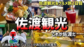 佐渡2日目は【朱鷺】佐渡観光大使ではないが教える佐渡観光　佐渡グルメは特上海鮮丼　出川哲郎の充電させてもらえませんかで訪れた場所も　これが佐渡だ　THIS　IS　NIIGATA