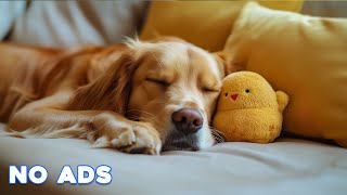 12 Hours Calming Dog Music🎵Relaxing Sleep Tunes for Dogs 🐶Anti Anxiety💖Stress Relief