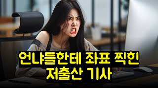 언냐들한테 좌표 찍힌 저출산 기사