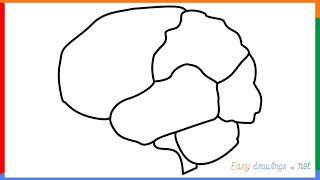 How to draw a Brain step by step for beginners