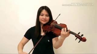 365日の紙飛行機 - AKB48(Violin Cover II)