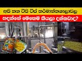 ටිපි ටිප් කර්මාන්තශාලා වල හදන්නේ මෙහෙමයි | how to make tipitip in factory | Digaharuma