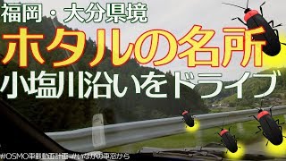 【車載動画でうきは市案内 #003】福岡・大分県境ドライブ　県道105号線～ホタルの里小塩地区を走る【ドライブガイド】