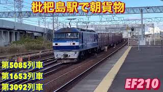 313系が被り過ぎる1653レを含む、貨物列車3本編集。