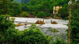 Thalaiyanai Check Dam || Papanasam ||Thamirabarani || தலையணை || பாபநாசம் || தாமிரபரணி