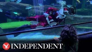 Scuba diving Santa surprises aquarium visitors in Brazil