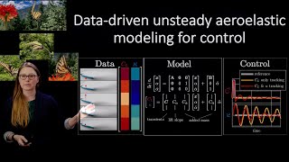 Interpretable Aeroelastic Models for Control at Insect Scale