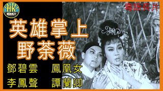 《粵語長片》英雄掌上野荼薇  (1962)｜鄧碧雲｜鳳凰女｜李鳳聲｜譚蘭卿｜導演：馮志剛 | 香港電影 | 香港粵語電影 | 粵語中字