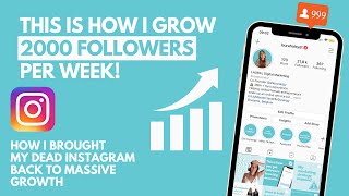 How I Grew 2,000 Instagram followers ORGANICALLY in 7 days