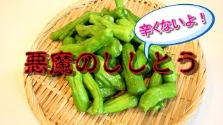 悪魔のししとう【大量消費】レシピ！熱々ご飯のお供（友）！【常備菜】