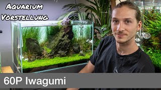 Liquid Garden 60P Iwagumi | Liquid Nature Aquarium Vorstellung