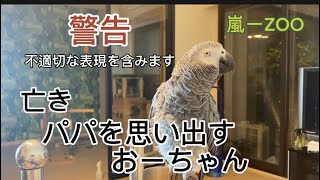 【亡き夫の鳥と生活】下ネタを含みます。苦手な方はご注意下さい。