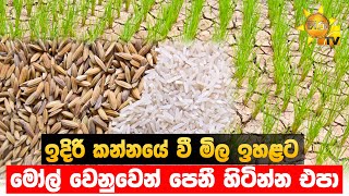 ඉදිරි කන්නයේ වී මිල ඉහළට - මෝල් වෙනුවෙන් පෙනී හිටින්න එපා  - Hiru News