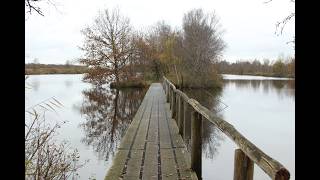 Winter in Friesland | Uitwaaien in de Friese natuur in de wintermaanden