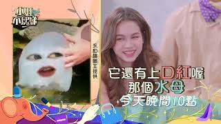 年輕人都在流行什麼？！快速跟上時代的不吸地團大考驗！【小姐不熙娣】EP13 預告｜週一至週五 晚間10點 東森綜合32頻道