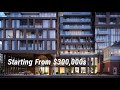 xo condos by lifetime developments