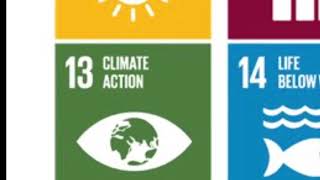 Goal 13 UN Sustainable Development Goal