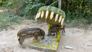 Best Quick Powerful Wild Pig Trap Make By Sick pieces \u0026Small Woods #shortvideo