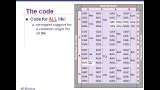 Translation - Cracking the Code