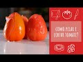 Como pelar e cortar tomate? - TeleCulinária