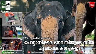 Kerala Elephant Seetha|Chottanikkara Seetha|aanatthaara|ആനത്താര|Chottanikkara Bhagavathi Temple