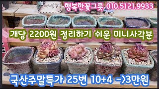 개당2200원이다!국산주말특가 화분을 만나요! 10+4가  3만원💕행복한꽃그릇 010.5121.9933