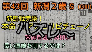 🐴 第43回  新潟２歳 S  予想❗️