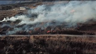 Spreading Forest Fire under Control in Suburban Beijing