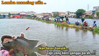 Ga di sangka ..! Lomba mancing nila ikan besar banyak, tapi ikan kecil ganggu parah ..!?