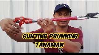 Gunting Prunning Tanaman Terbaik Di Taiwan || Long Reach Prunner