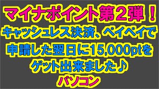 マイナポ第2弾ペイペイ申請(PC)で翌日に15000ptゲット♪