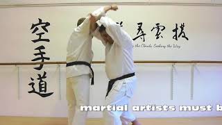 Hangetsu Bunkai Strategies 2019 week 14 koryu karate oyo jutsu