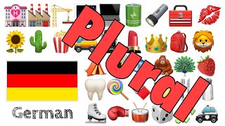 Learn 400 words - German with Emoji -  🌻🌵🍿🚌⌚️💄👑🎒🦁🌹🥕⚽🧸🎁 PLURAL