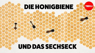 Warum lieben Honigbienen Sechsecke? – Zack Patterson und Andy Peterson