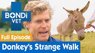 Orphaned Donkey Develops An Awkward Walk | FULL EPISODE | E4 | Bondi Vet