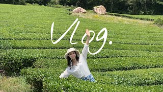 Vlog. 강진으로 떠난 2박 3일 출장📸 | 마케터 브이로그, 온라인 촬영, 전남 강진, 마량항, 설록다원, 백운옥판차